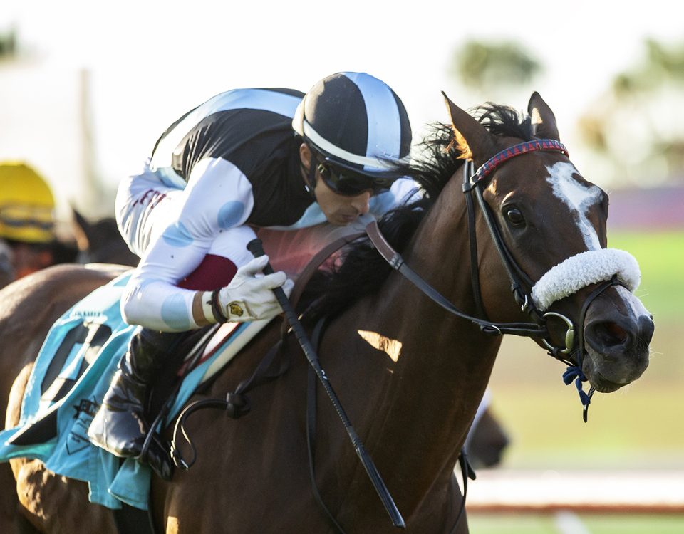 Sister Otoole and jockey Antonio Fresu win the $100,000 CTT and TOC Stakes, Friday, August 18, 2023 at Del Mar Thoroughbred Club, Del Mar CA. © BENOIT PHOTO