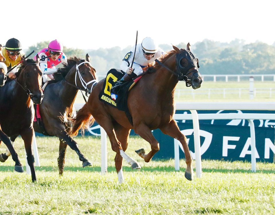 Anglophile - Dueling Grounds Derby - Coady Photography