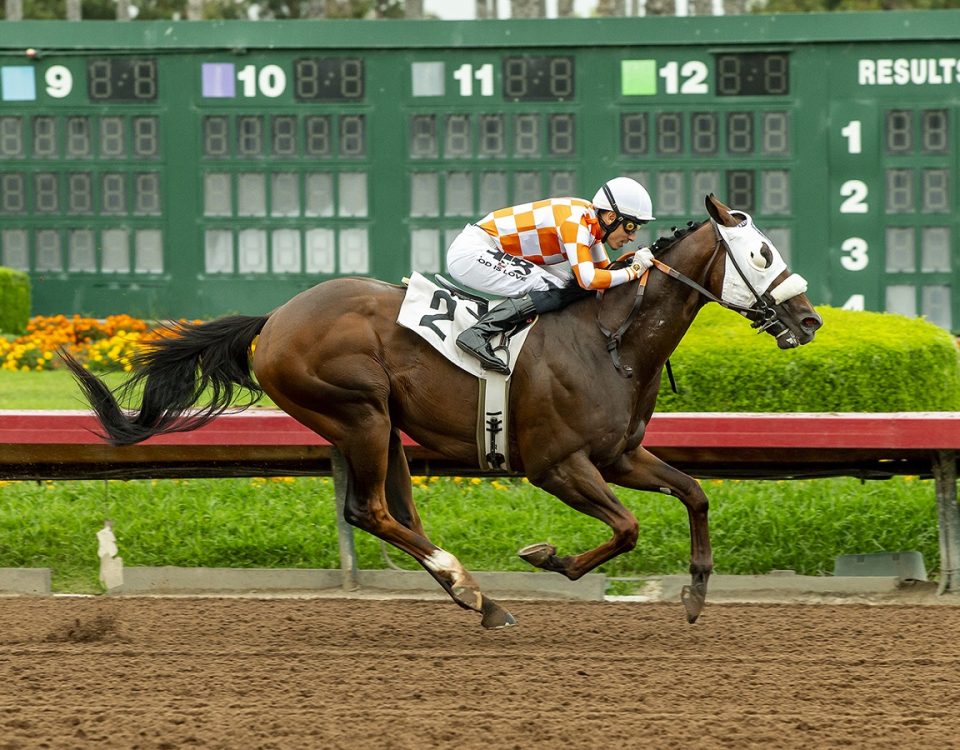 Arham - Los Alamitos Special - Benoit Photo