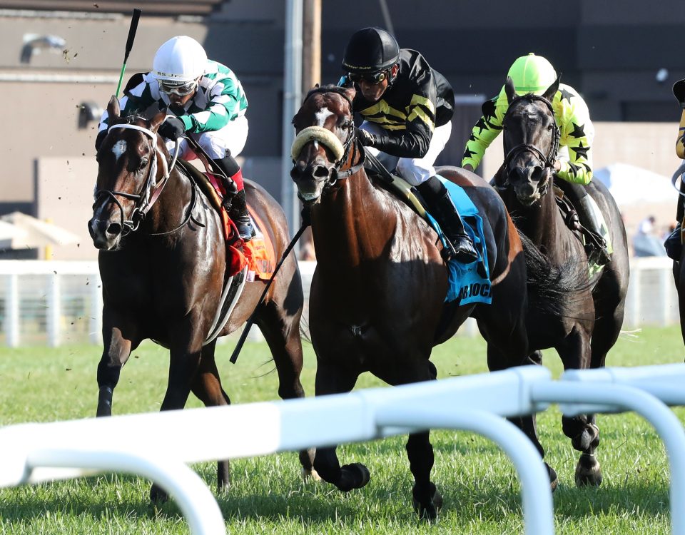 Gear Jockey - Turf Sprint S. - Coady Photography