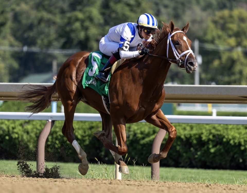 Locked - MSW Saratoga - Debbie Roma - Daily Racing Form