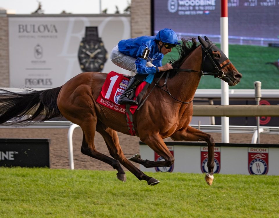 Master of The Seas - Woodbine Mile - Julie Wright