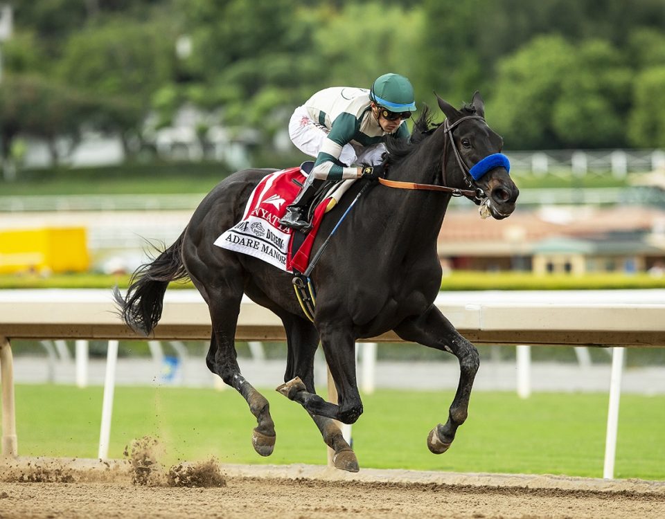 Adare Manor - Zenyatta S. - Benoit Photo