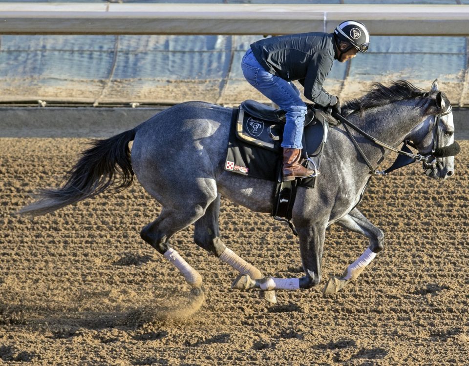 Arcangelo en Santa Anita Park - Foto Barbara Livingston DRF