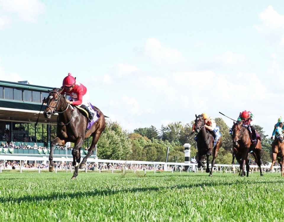 Buchu - Jessamine Stakes - Coady Photography