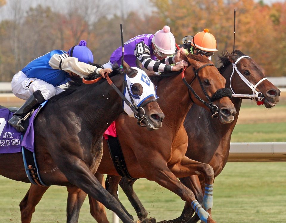 Mahoning Valley - Action - John Engelhardt