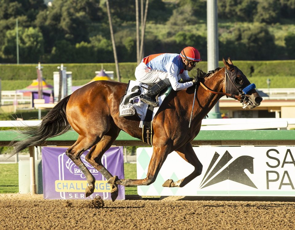 Muth - American Pharoah S. - Benoit Photo