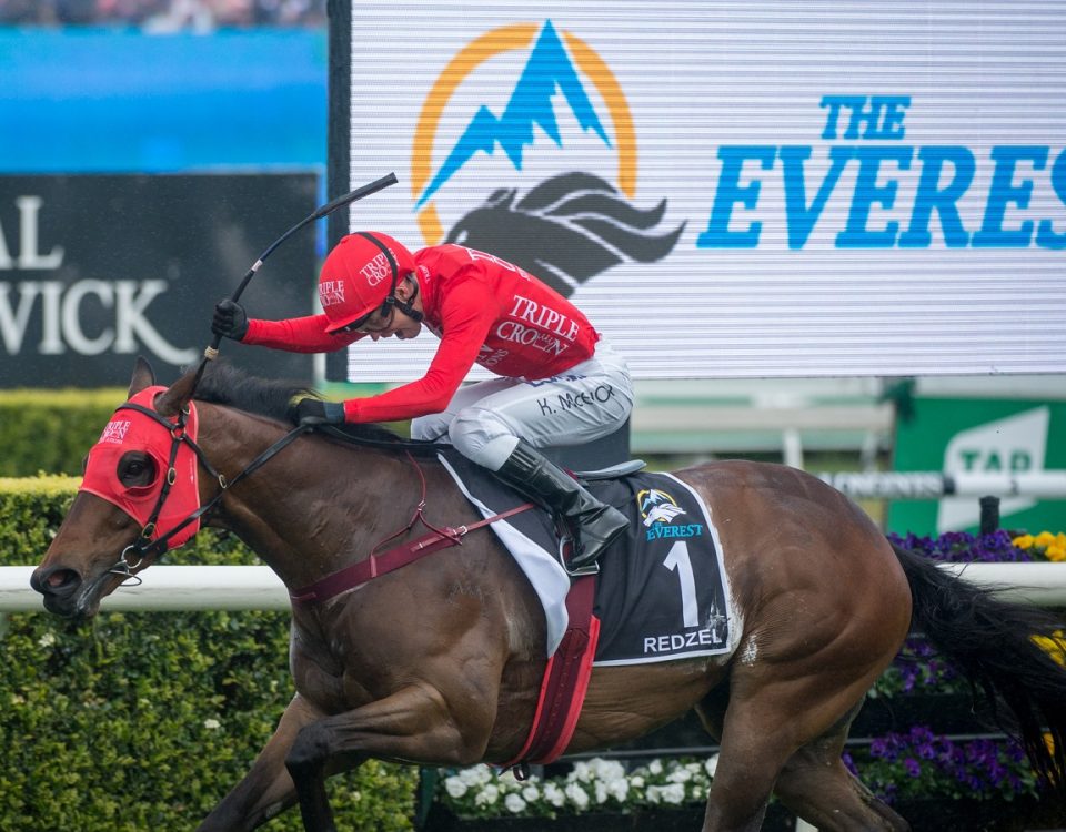 Redzel - Everest S. 2018 - Sharon Lee Chapman