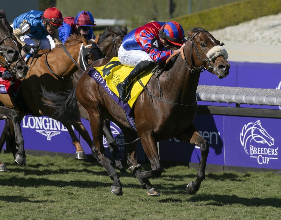 Big Evs - BC Juvenile Turf Sprint - Barbara D. Livingston