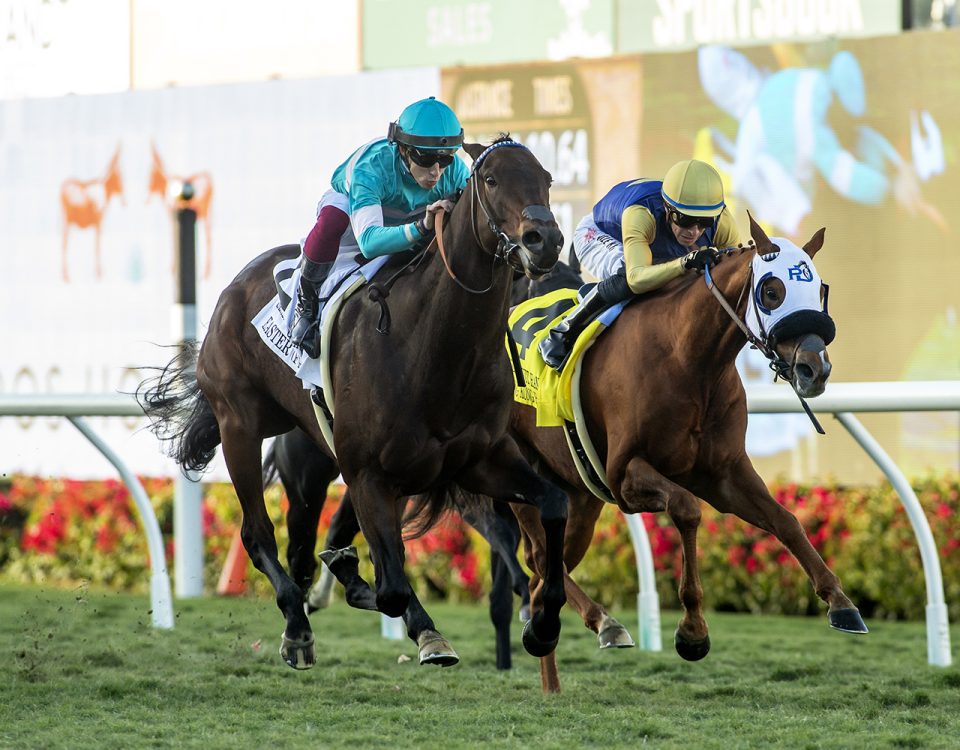 Easter (Fr) - Grade II $200,000 Seabiscuit Handicap - Del Mar Thoroughbred Club, Del Mar, CA. -Benoit Photo