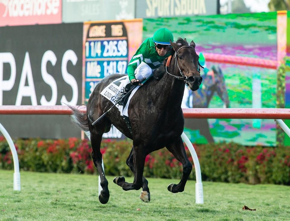 Linda's Gift - Red Carpet Stakes G3T - Benoit Photo