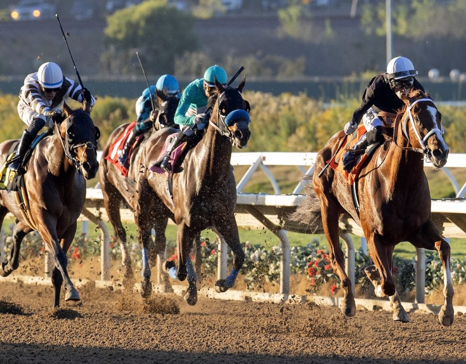 The Chosen Vron - Cary Grant Stakes - Credito: Barbara Livingston