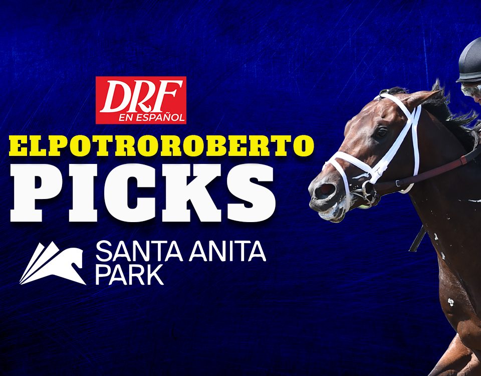 DRF Picks Santa Anita Park