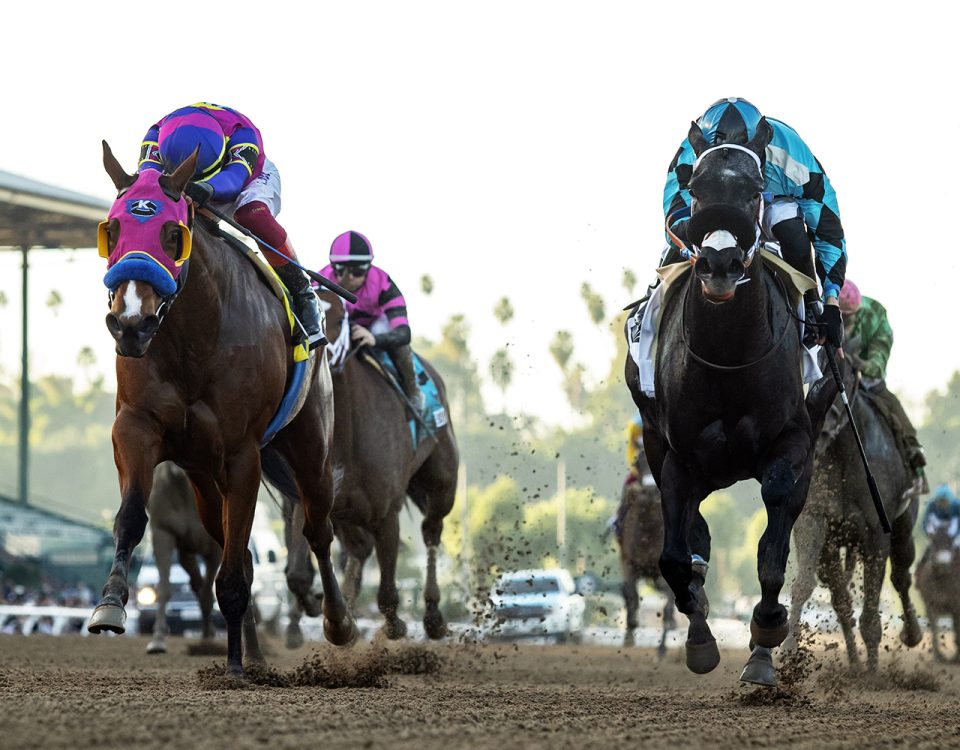 Santa Anita Park, Arcadia, CA. --Benoit Photo