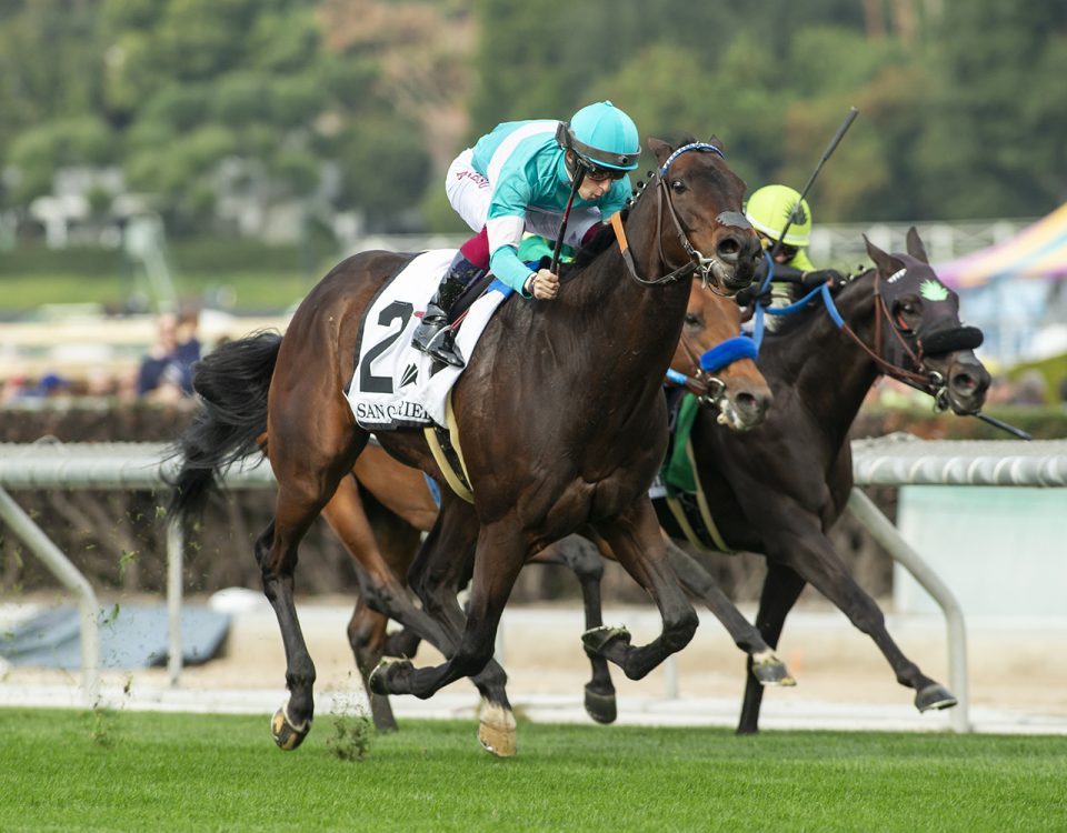 Easter (Fr) - Grade II $200,000 San Gabriel Stakes - Santa Anita Park, Arcadia, CA. ©Benoit Photo