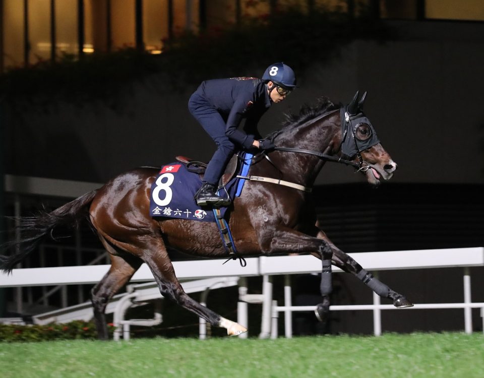 Golden Sixty - Hong Kong Jockey Club