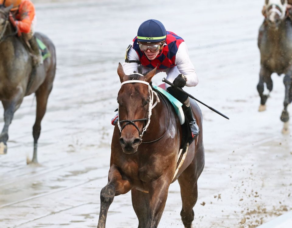 Otto the Conqueror - Churchill Downs - Coady Photography