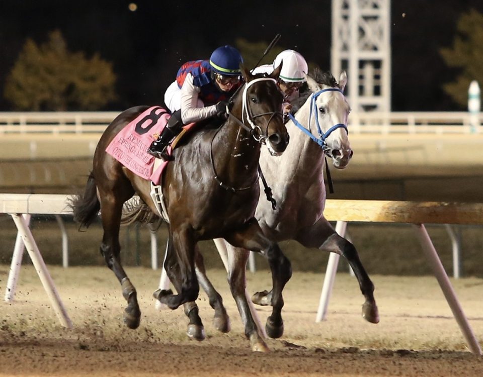 Otto the Conqueror - Springboard Mile - Remington Park