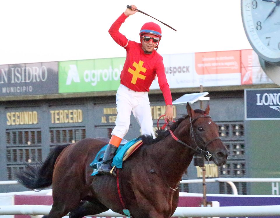 Village King, ganando el Gran Premio Carlos Pellegrini-Internacional (G1) en Hipódromo de San Isidro el 11 de diciembre, 2021. Courtesy of Hipodromo de San Isidro