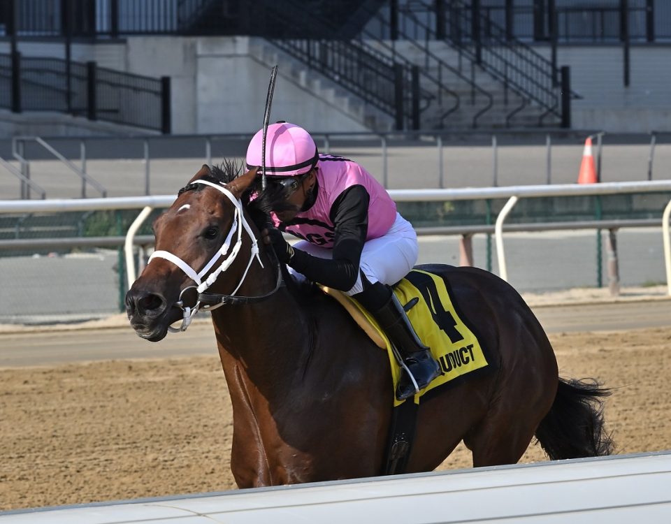 Where's Chris - Aqueduct - Coglianese Photo