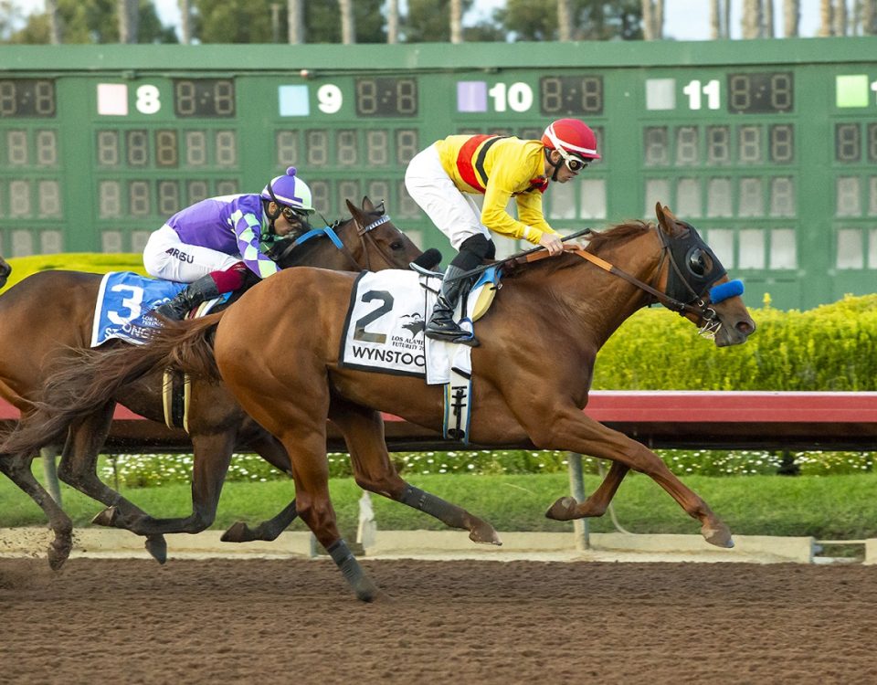 Wynstock - Los Al Futurity - Benoit Photo