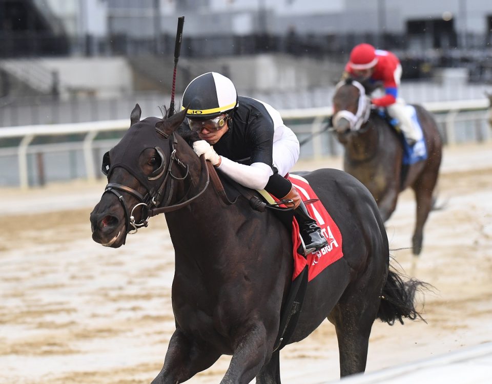 El Grande O - Coglianese Photo