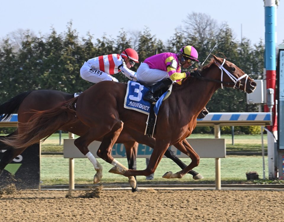 Speed Runner - Aqueduct - Adam Coglianese