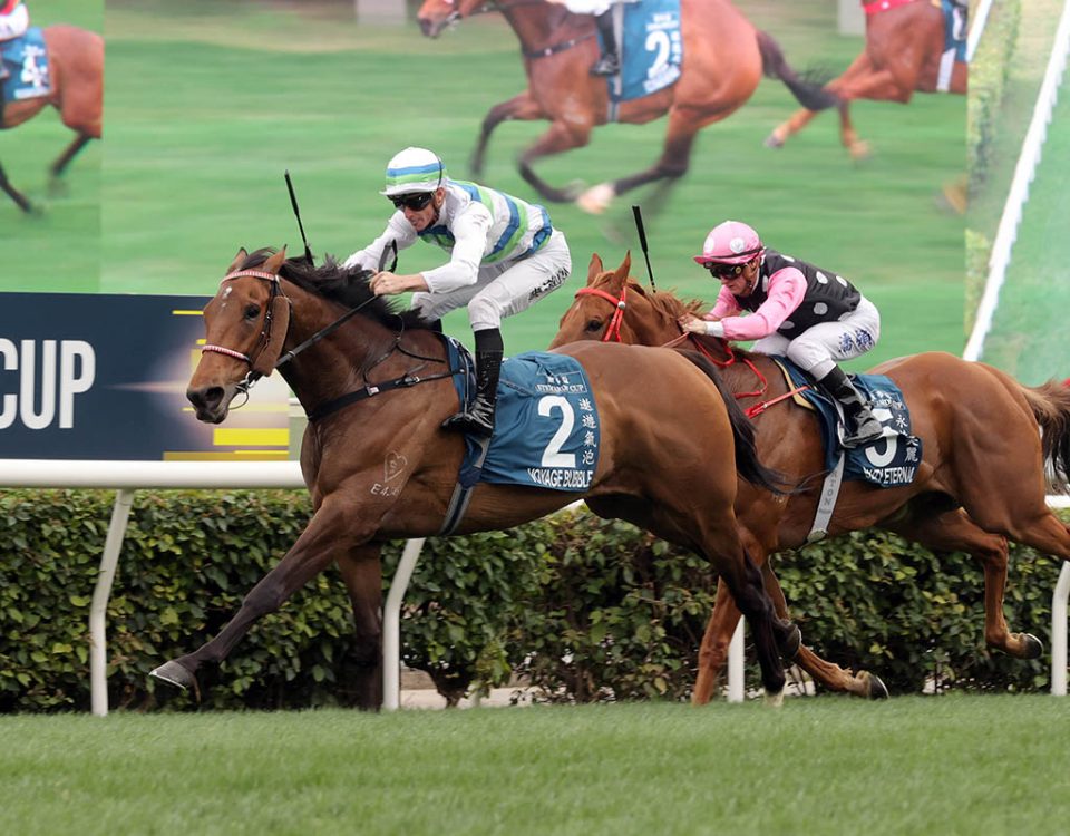 Voyage Bubble - Stewards' Cup - HKJC Photo