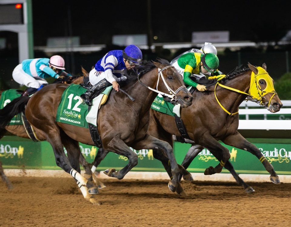 Gr1 Saudi Cup_Senor Buscador, Junior Alvarado, Todd Fincher_Erika Rasmussen_- Jockey Club of Saudi Arabia