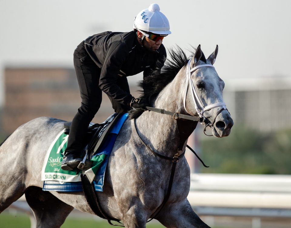 Saudi Crown - Jockey Club of Saudi - Melissa Ziarno