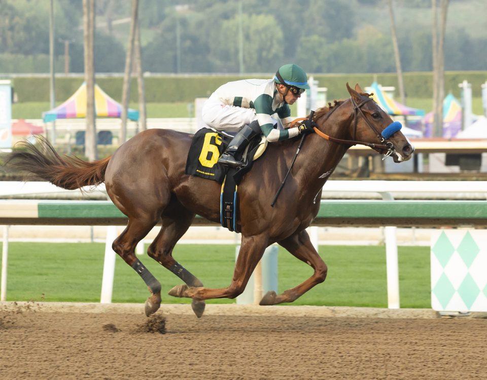 Kinza - Santa Anita Park - Benoit Photo