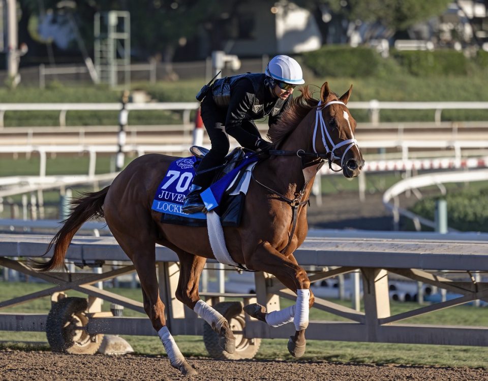 Locked - Debbie Roma - Daily Racing Form