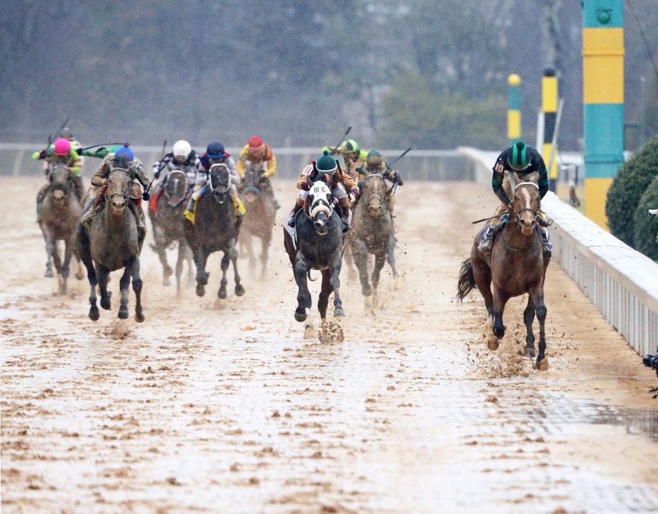 Mystik Dan - Coady Photo - Oaklawn Park