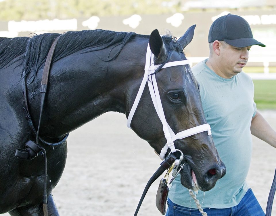 No More Time - Tampa Bay Downs - Tom Keyser