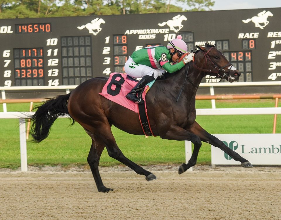 Patriot Spirit - Tampa Bay Downs - SV Photography