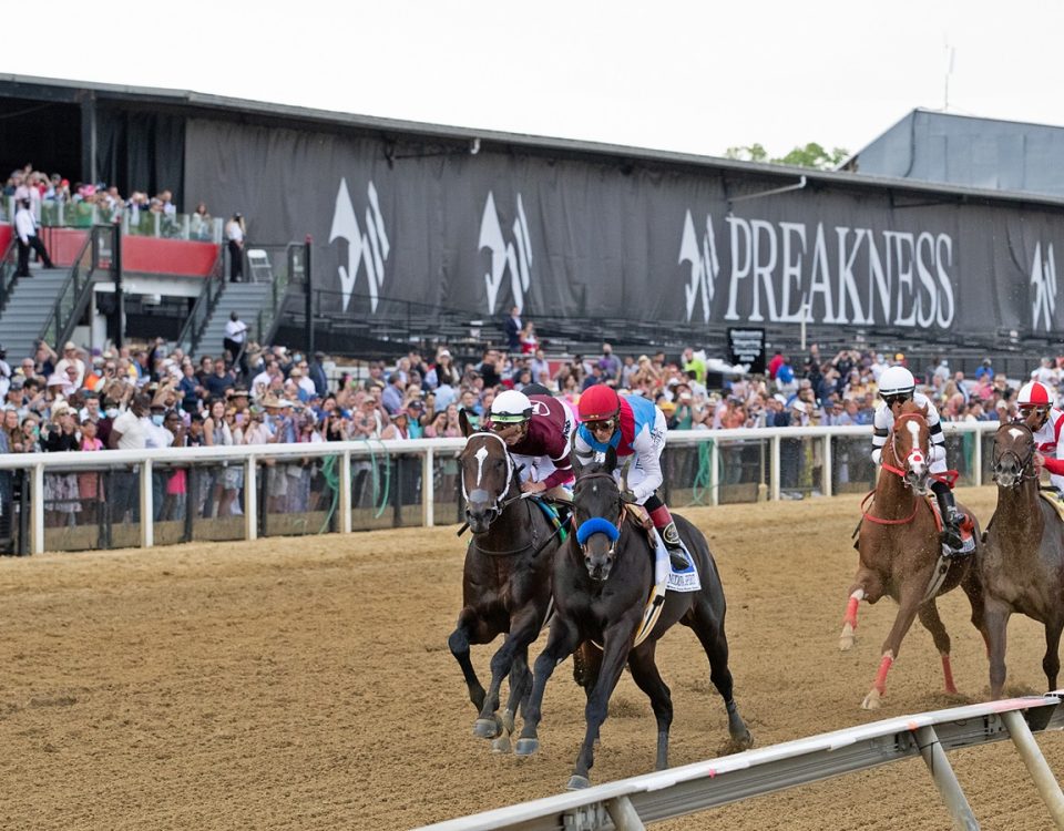 Preakness Stakes - Action - Debra A. Roma