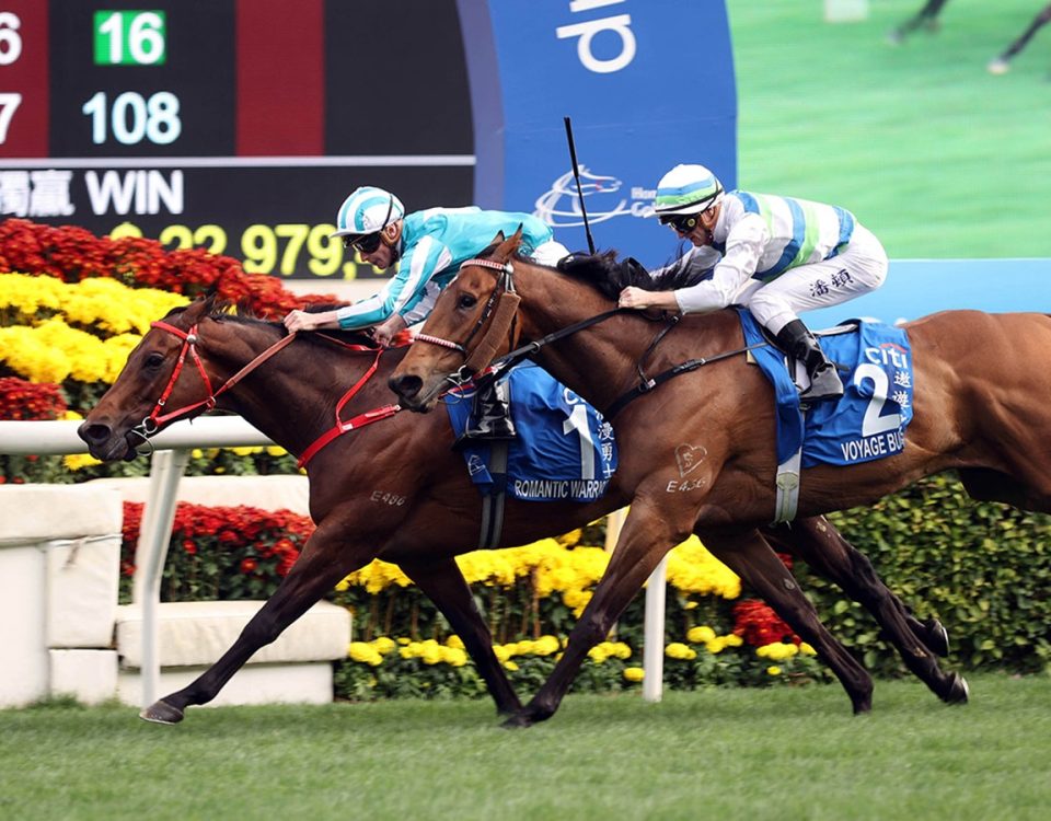 Romantic Warrior - Hong Kong Gold Cup - HKJC