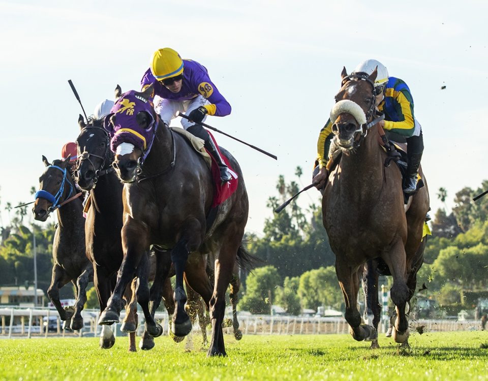 Santa Anita Park - Action - Benoit Photo