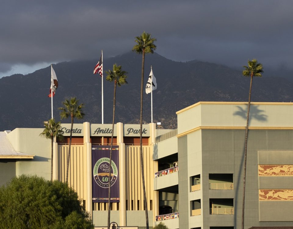 Santa Anita Park - Barbara D. Livingston