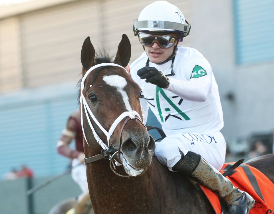 TIMBERLAKE - Rebel Stakes G2 - 64th Running - Oaklawn Park - Coady Photo - Renee Torbit