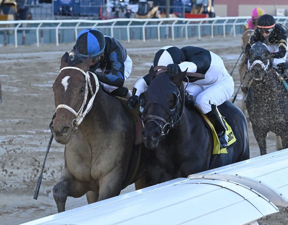 Uncle Heavy - Withers S. - Joe Labozzetta