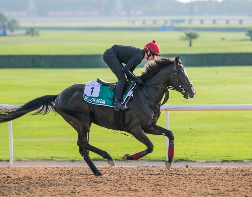 Auguste Rodin - Meydan - Dubai Racing Club