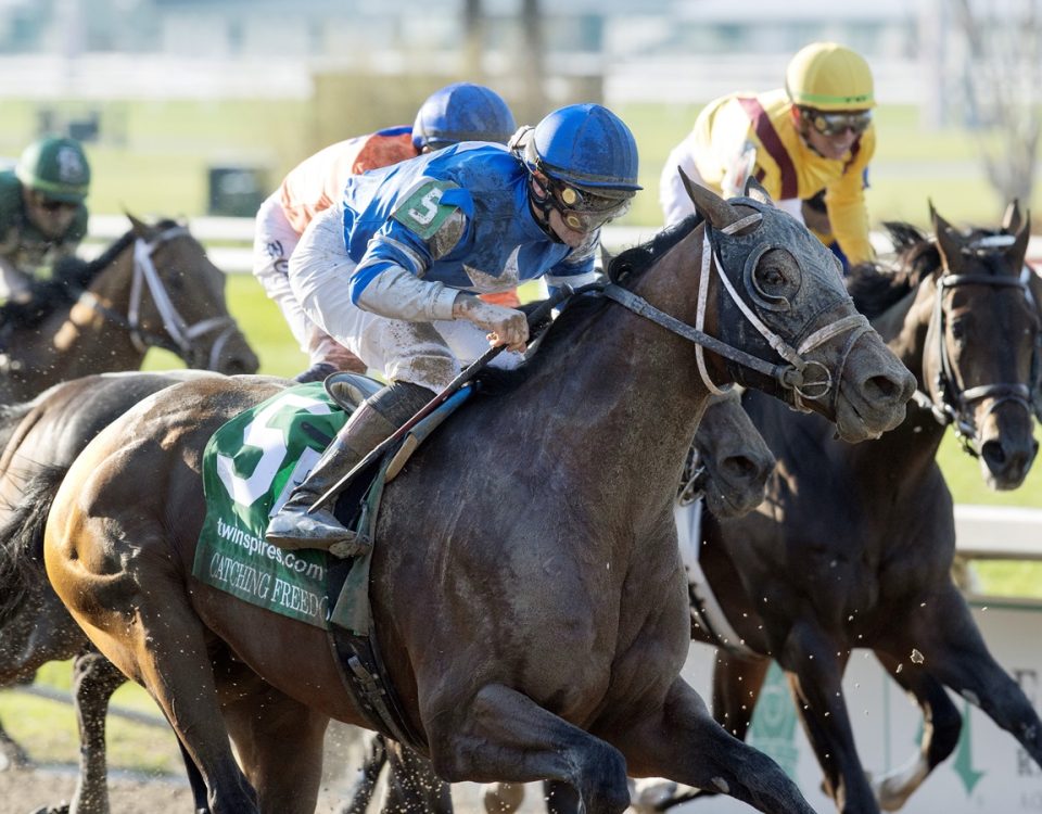 Catching Freedom - Louisiana Derby - Barbara D. Livingston