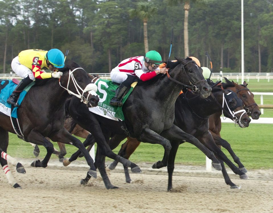 Domestic Product - Tampa Bay Derby - Tom Keyser