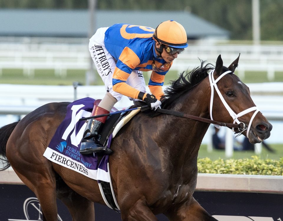 Fierceness - Florida Derby - Barbara D. Livingston