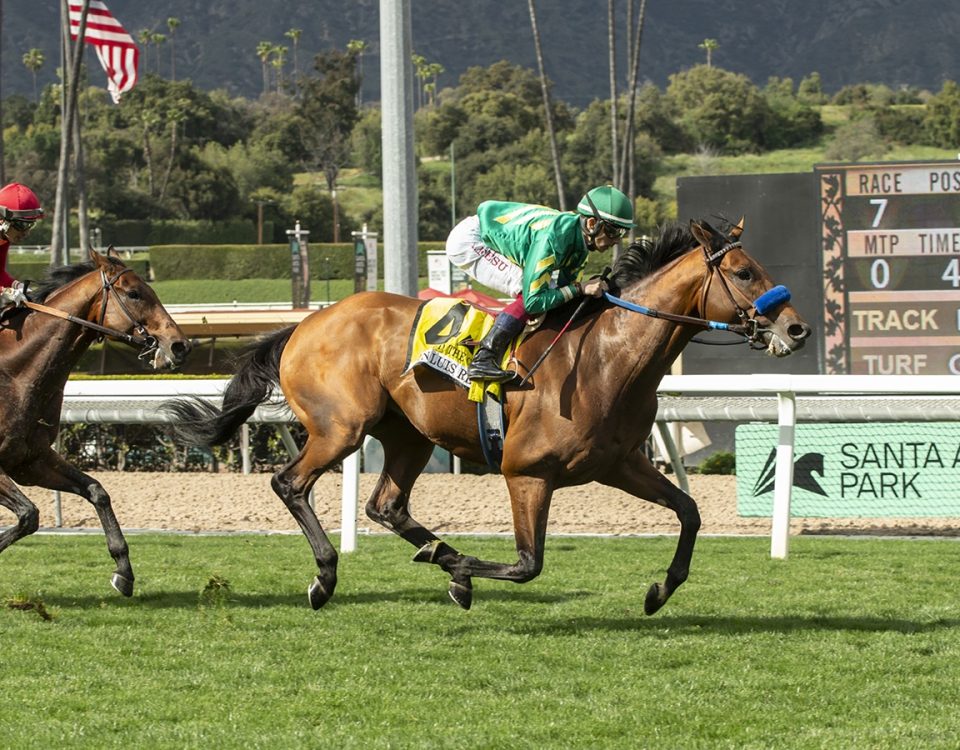 Missed the Cut - San Luis Rey S. - Benoit Photo