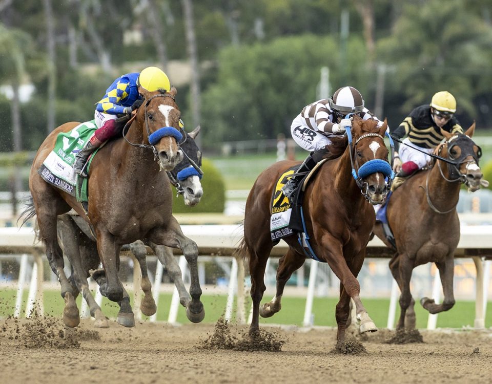 Newgate - Santa Anita H. - Benoit Photo