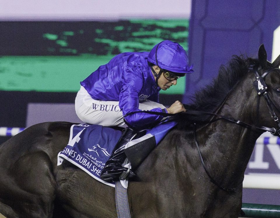 Rebel's Romance - Sheema Classic - Dubai Racing Media