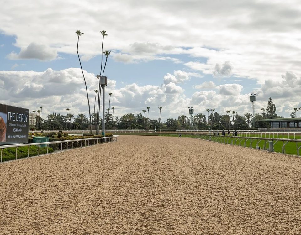 Santa Anita Park - Tapeta - foto credito Santa Anita Park