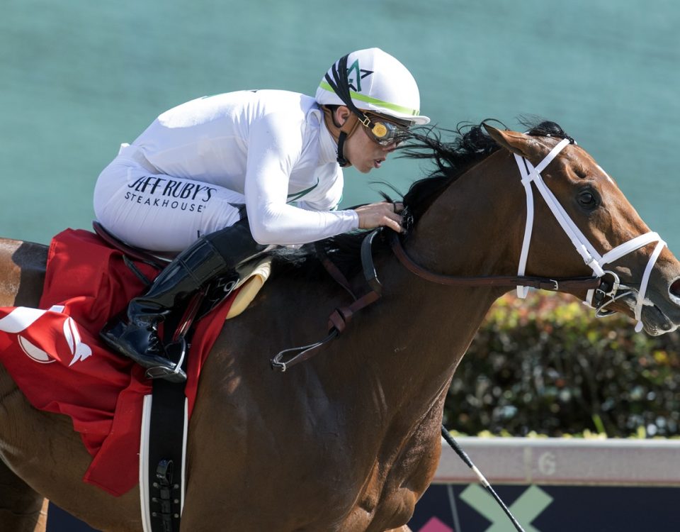 Speak Easy - Gulfstream Park - Barbara D. Livingston